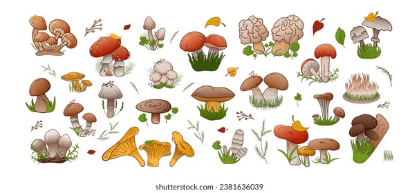 Vector set forest mushrooms. Collection different types mushrooms edible and inedible. Colorful cartoon assorted mushrooms for cover, print, book decoration, postcard, stickers, web element