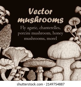 Vector set of forest mushrooms in engraving style. Graphic linear fly agaric, chanterelles, white fungus, honey mushrooms, morel