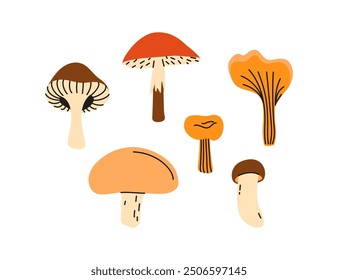 Vector set with forest mushrooms on a white background. Autumn harvest. Illustration in a flat style.