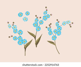 Vector set of forget me not flowers