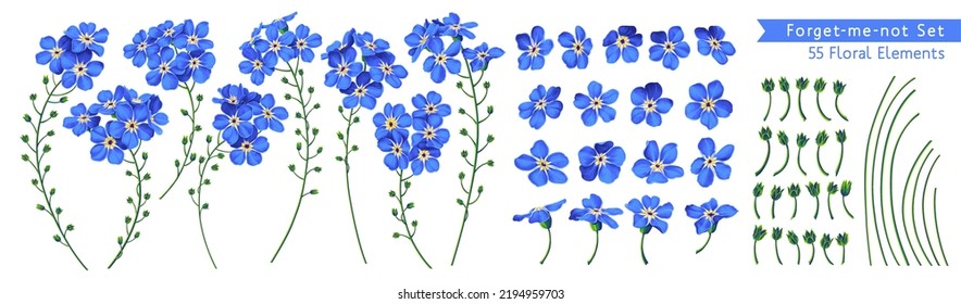 Vector set Forget-me-not flowers. Realistic, hand-drawn, detailed floral clip art elements. Ready-made flowers, individual flowers, stems and buds. Advertising, cards, banners in social networks.