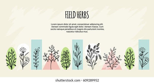 Vector set in the form of a banner on a theme of field grasses, flowers and plants. Spring Green. It is executed in the form of a sketch. All objects are isolated.