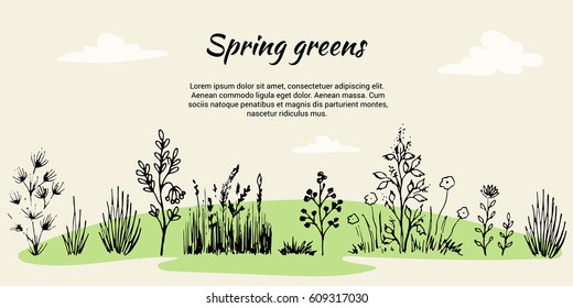 Vector set in the form of a banner on a theme of field grasses, flowers and plants. Spring Green. It is executed in the form of a sketch. All objects are isolated svg