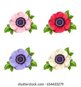 Vector set of four colorful anemone flowers isolated on a white background.