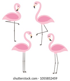 Vector set with four cute cartoon pink flamingos on the white background