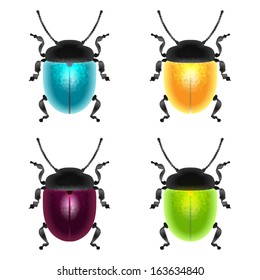 vector set of four different colored beetles, blue, yellow, green and burgundy