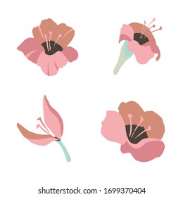 Vector set of four different isolated hibiscuses suited for fabric or paper design