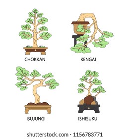 Vector set with four different styles of bonsai. Isolated trees on white background.