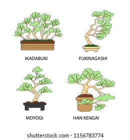 Vector set with four different styles of bonsai. Isolated trees on white background.