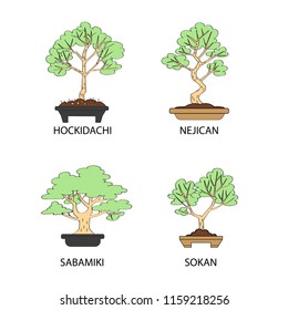 Vector set with four different styles of bonsai. Isolated trees on white background.