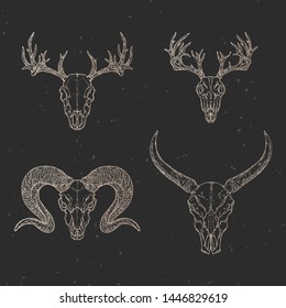 Vector set of four hand drawn skulls of wild buffalo, deer and ram on dark background with vintage elements. Sketch in gold color. For you design, print, tattoo or magic craft.