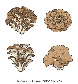 Vector set of four hand drawn edible mushrooms including maitake hen of the woods and oyster mushroom clusters, isolated on white background