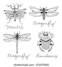 vector set with four hand drawn insects