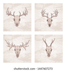 Vector set of four illustrations with hand drawn skulls roe deer, moose and stag on vintage background. Sketch in beige color. For you design, print, tattoo or magic craft.