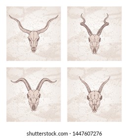 Vector set of four illustrations with hand drawn skulls antelope and goat on vintage background. Sketch in beige color. For you design, print, tattoo or magic craft.