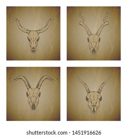 Vector set of four illustrations with hand drawn skulls antelope and goat on vintage grunge background. Sketch in sepia color. For you design, print, tattoo or magic craft.
