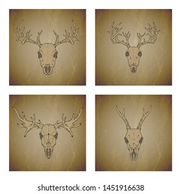 Vector set of four illustrations with hand drawn skulls roe deer, moose and stag on vintage grunge background. Sketch in sepia color. For you design, print, tattoo or magic craft.