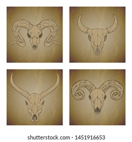 Vector set of four illustrations with hand drawn skulls wild buffalo, bull and ram on vintage grunge background. Sketch in sepia color. For you design, print, tattoo or magic craft.