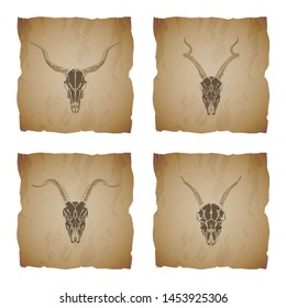 Vector set of four illustrations with hand drawn skulls antelope and goat on vintage torn edges background. Sketch in sepia color. For you design, print, tattoo or magic craft.