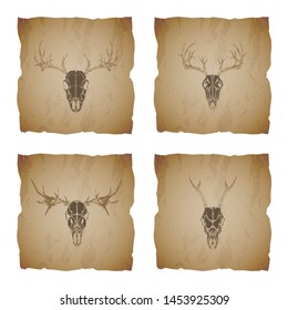 Vector set of four illustrations with hand drawn skulls roe deer, moose and stag on vintage torn edges background. Sketch in sepia color. For you design, print, tattoo or magic craft.