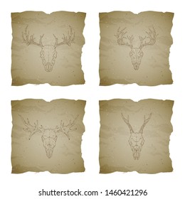Vector set of four illustrations with hand drawn skulls roe deer, moose and stag on vintage torn edges background. Sketch in sepia color. For you design, print, tattoo or magic craft.
