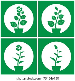 vector set of four monochromatic simple indoor plants in frame, green house flowers in pots, isolated illustration
