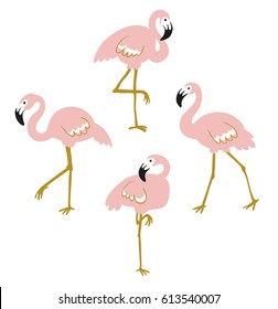 Vector set with four pink flamingos isolated on the white background. Flat design.