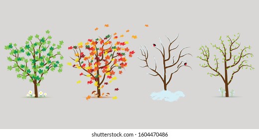 Vector set of four seasons trees. Flat design