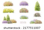 Vector set of four seasons ,watercolor blooming flower tree side view isolated on white background for landscape and architecture drawing,elements for environment or and garden,botanical elem