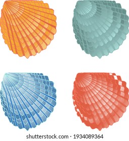 vector set of four shells of bright color on a white background