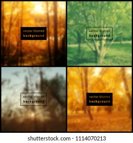 Vector set of four square blurred nature backgrounds. Beautiful place for your text.