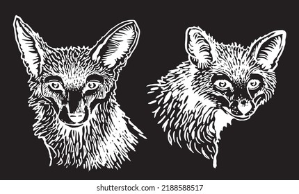 Vector set of foxes on black isolated,forest animal drawing,graphical illustration