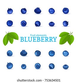 Vector set of a fresh blueberry. Fresh blue Berries and leaves. Collection of ripe blueberries fruits elements for packaging design of juice, breakfast, jam, ice cream, smoothies, cosmetics