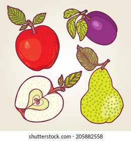 Vector set of fresh fruits.