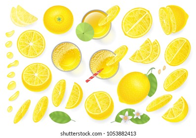 Vector set. Fresh lemon and lemon juice. Top view. Lemon sliced in various pieces, juice in glasses, leaves, flowers, grains, drops. View from above.