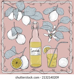Vector set with fresh lemons, a bottle of lemonade and a glass of lemon juice. These elements are suitable for fabric, restaurant menus, label drawing and packaging print, fruit background.
