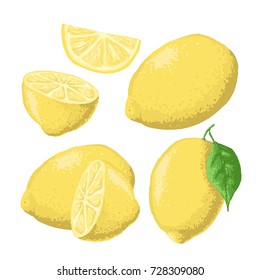 Vector set of fresh ripe lemons with leaves.Different styles of lemons on white background.