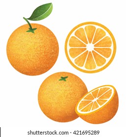 Vector set of fresh ripe oranges with leaves.Different styles of orange on white background.