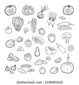 Vector Set Of Fresh Sliced Vegetables And Geens. Black Outlines Isolated On White Background. 