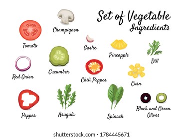 Conjunto vector de ingredientes vegetales frescos