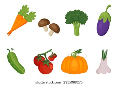 Vector set of fresh vegetables for cooking a culinary dish in the style of a cartoon. Organic, healthy lifestyle, vegetarianism