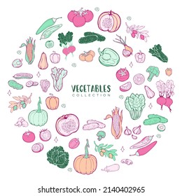 Conjunto vectorial de verduras y verduras frescas aisladas de fondo blanco. Colores pasteles y diseño de dibujos animados. Al estilo coreano.