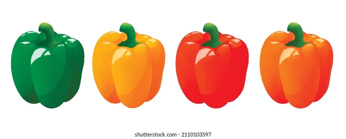 Vector Set Fresh Whole Bulgarian Capsicums Paprikas Bell Peppers isolated on white background, Organic Fruits Vegetable Clipart, Cooking Market Ingredients Illustrations, Green, Yellow, Red, Orange