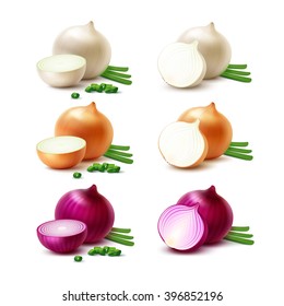 Vector Set of Fresh Whole and Sliced White Yellow Red Onion Bulbs with Chopped Green Onions Close up Isolated on White Background