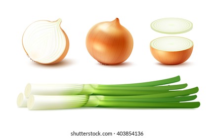 Vector Set of Fresh Whole and Sliced Yellow Onion Bulbs with Green Onions Close up Isolated on White Background