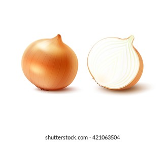 Vector Set of Fresh Whole and Sliced Yellow Onion Bulbs Close up Isolated on White Background