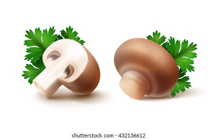 Vector Set of Fresh Whole and Sliced Half Brown Portabello Agaricus  Champignons Mushrooms with Green Parsley Leaves Close up Isolated on White Background