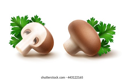 Vector Set of Fresh Whole and Sliced Half Brown Portabello Agaricus  Champignons Mushrooms with Green Parsley Leaves Close up Isolated on White Background