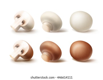 Vector Set of Fresh Whole and Sliced Half Brown White Portabello Agaricus Champignons Mushrooms Close up Isolated on White Background