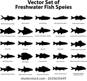 Vector Set of Freshwater Fish Species